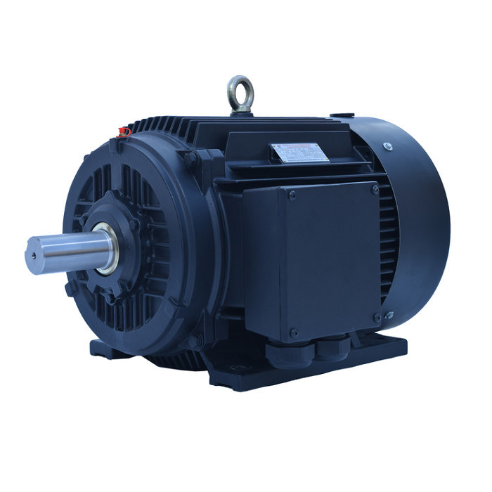 Direct Drive Rare Earth Motor ODM OEM Low Speed Synchronous Motor