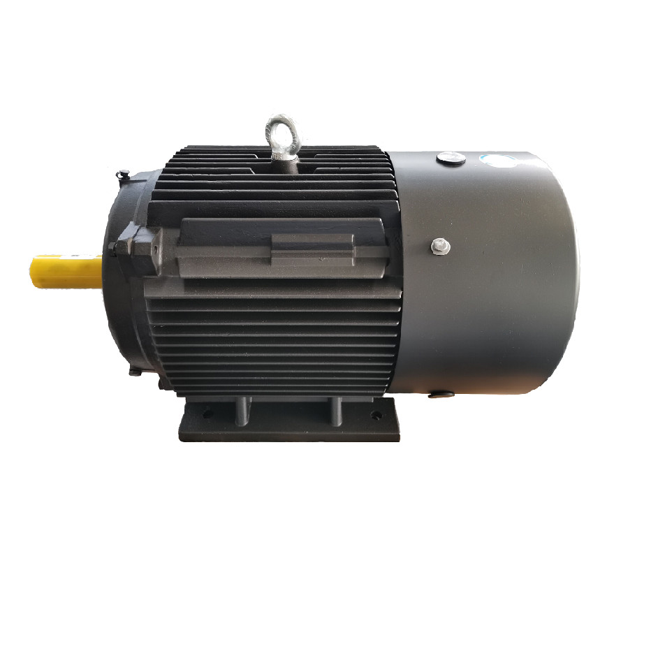 Radial Flux Permanent Motor