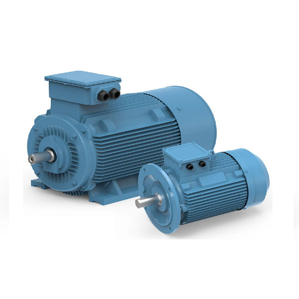 Custom Permanent Electric Motor